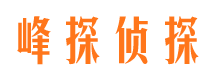 崇仁市调查公司